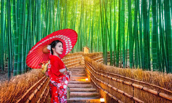 La Scopri una delle principali attrazioni turistiche nei dintorni di Kyoto: la Foresta di Arashiyama